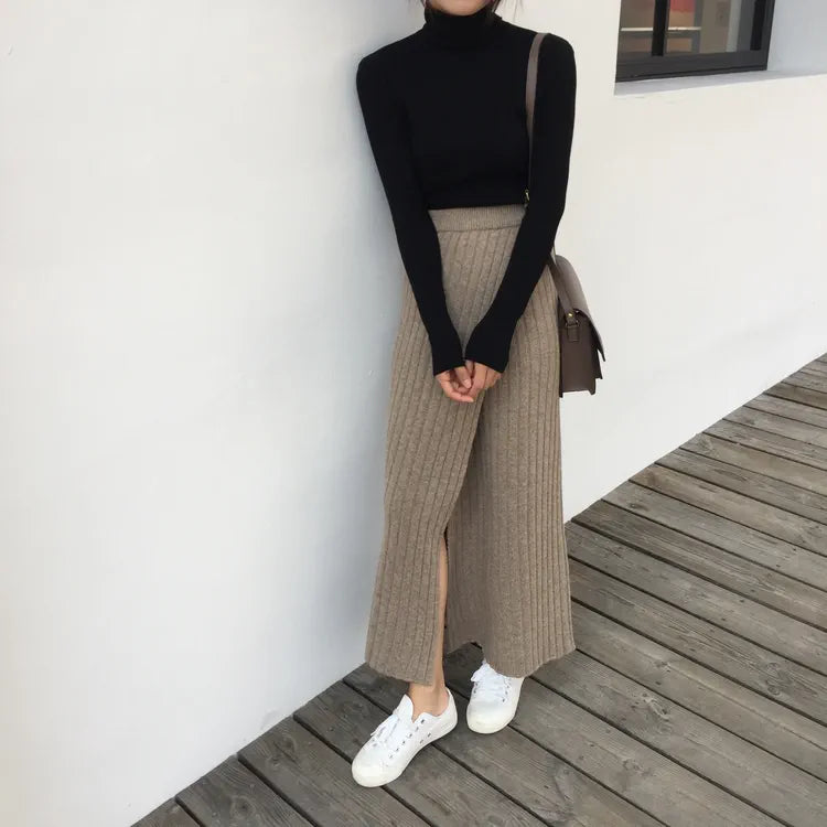 Aara Knit Long Skirt